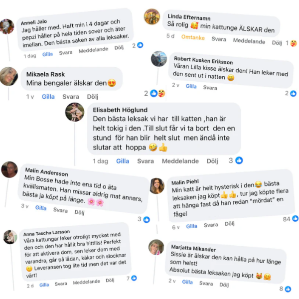 Jaktfjädern - Slutet på uttråkade katter