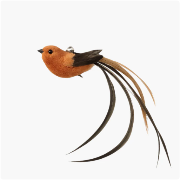 Jaktfjädern - Slutet på uttråkade katter